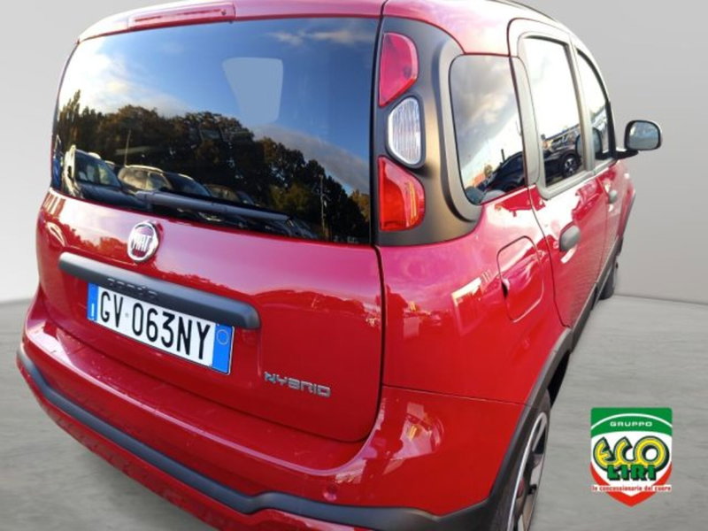 Fiat Panda Cross usata a Frosinone (15)