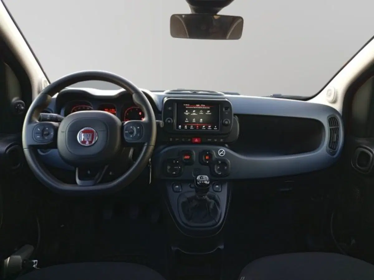 Fiat Panda Cross usata a Frosinone (8)
