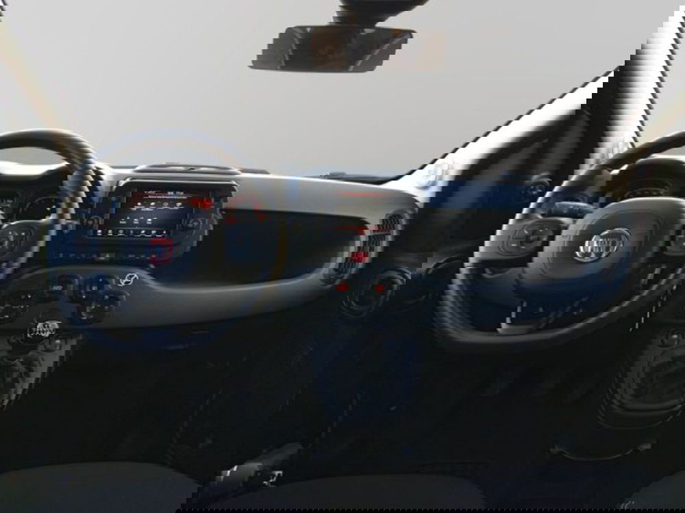 Fiat Panda Cross usata a Frosinone (18)