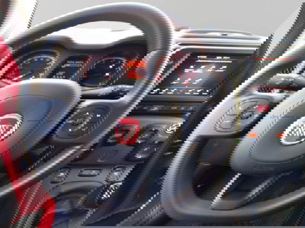 Fiat Panda Cross usata a Frosinone (19)