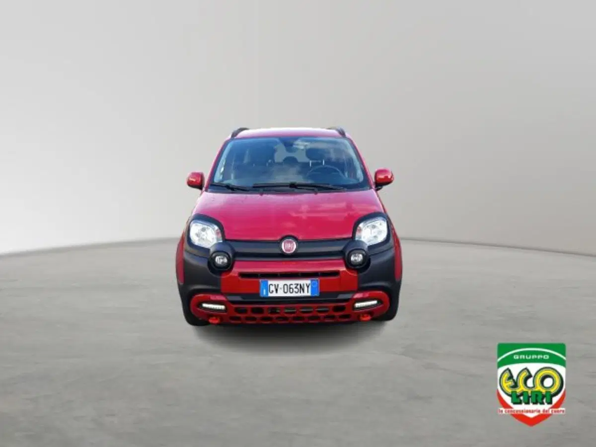 Fiat Panda Cross usata a Frosinone (2)