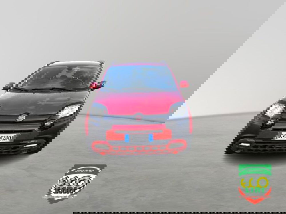 Fiat Panda Cross usata a Frosinone (2)