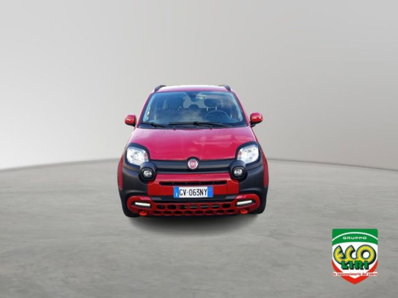Fiat Panda Cross usata a Frosinone (2)