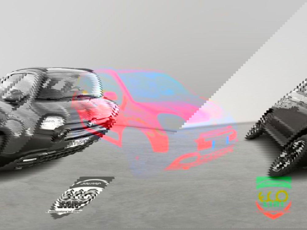 Fiat Panda Cross usata a Frosinone (3)