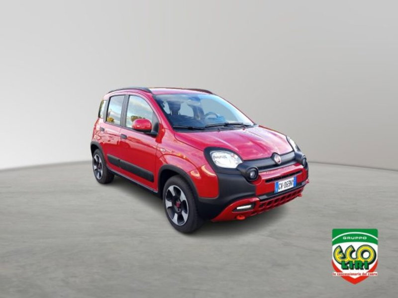 Fiat Panda Cross usata a Frosinone (3)