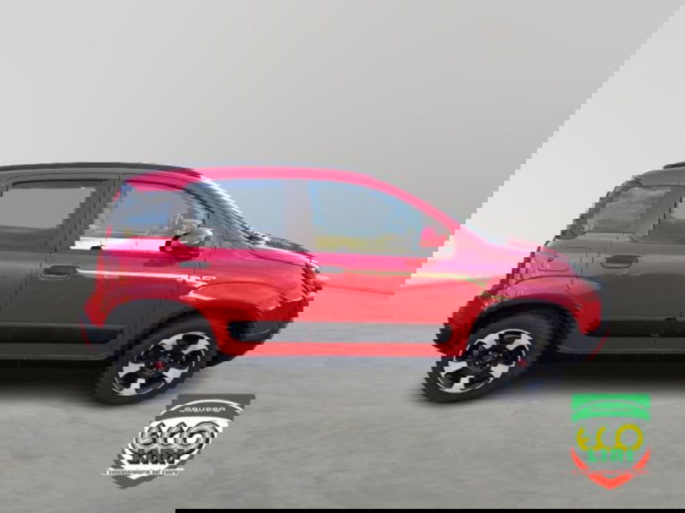 Fiat Panda Cross usata a Frosinone (4)