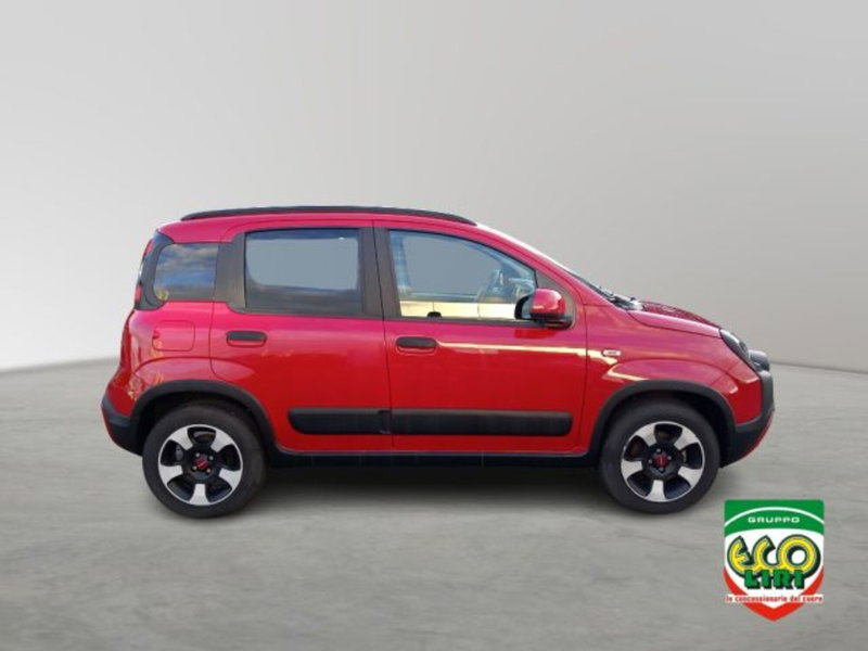 Fiat Panda Cross usata a Frosinone (4)