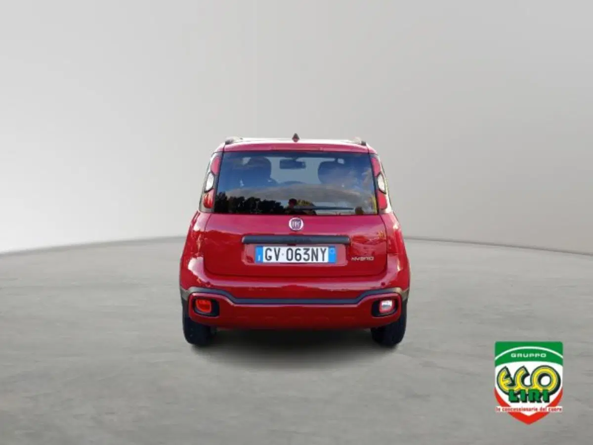 Fiat Panda Cross usata a Frosinone (5)