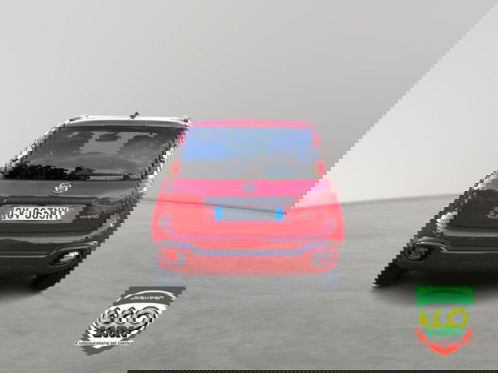 Fiat Panda Cross usata a Frosinone (5)