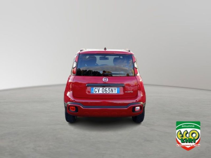 Fiat Panda Cross usata a Frosinone (5)