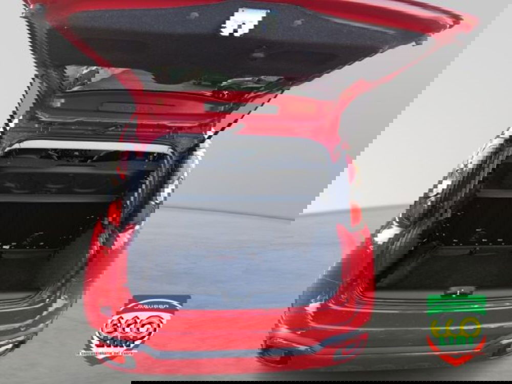 Fiat Panda Cross usata a Frosinone (6)