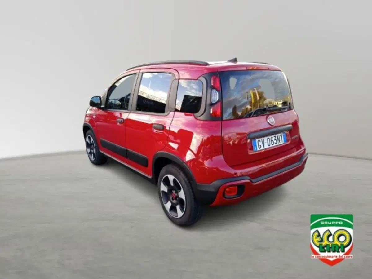 Fiat Panda Cross usata a Frosinone (7)