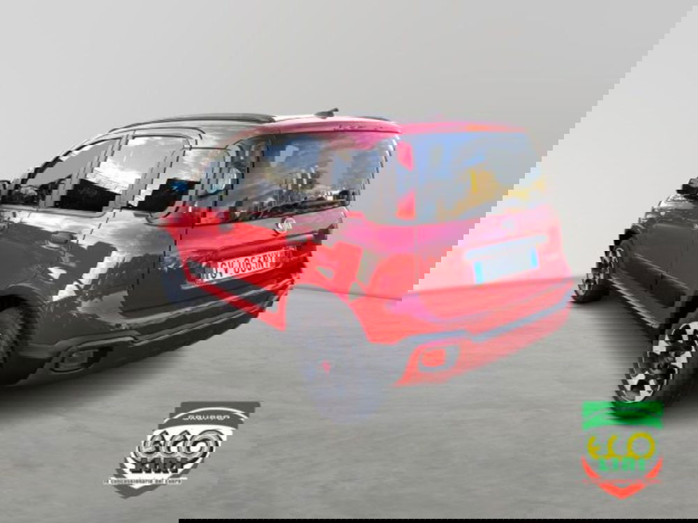 Fiat Panda Cross usata a Frosinone (7)