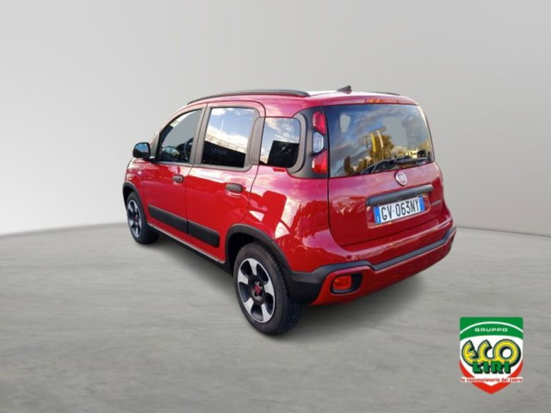 Fiat Panda Cross usata a Frosinone (7)