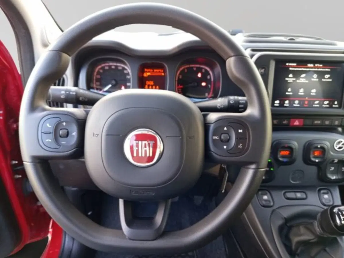 Fiat Panda Cross usata a Frosinone (16)