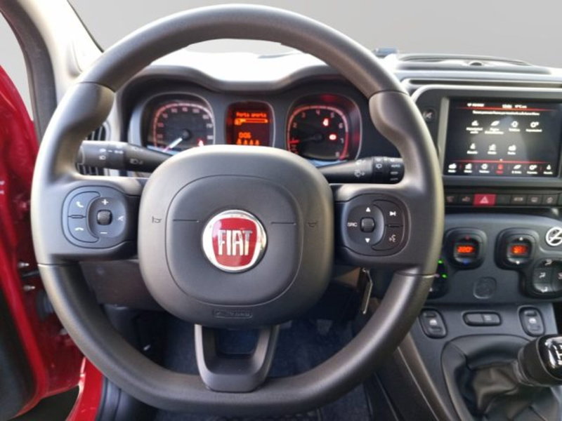 Fiat Panda Cross usata a Frosinone (16)
