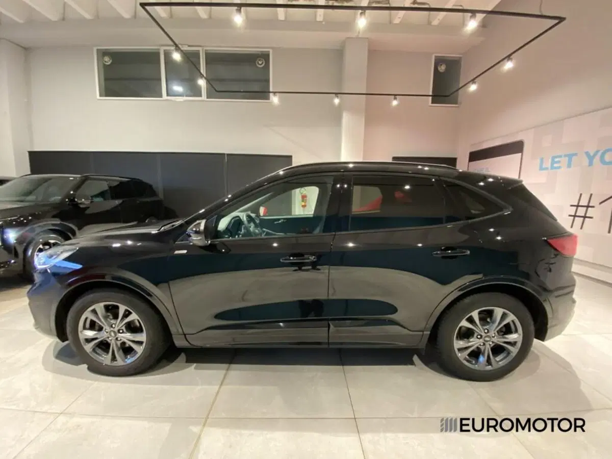 Ford Kuga usata a Bari (12)