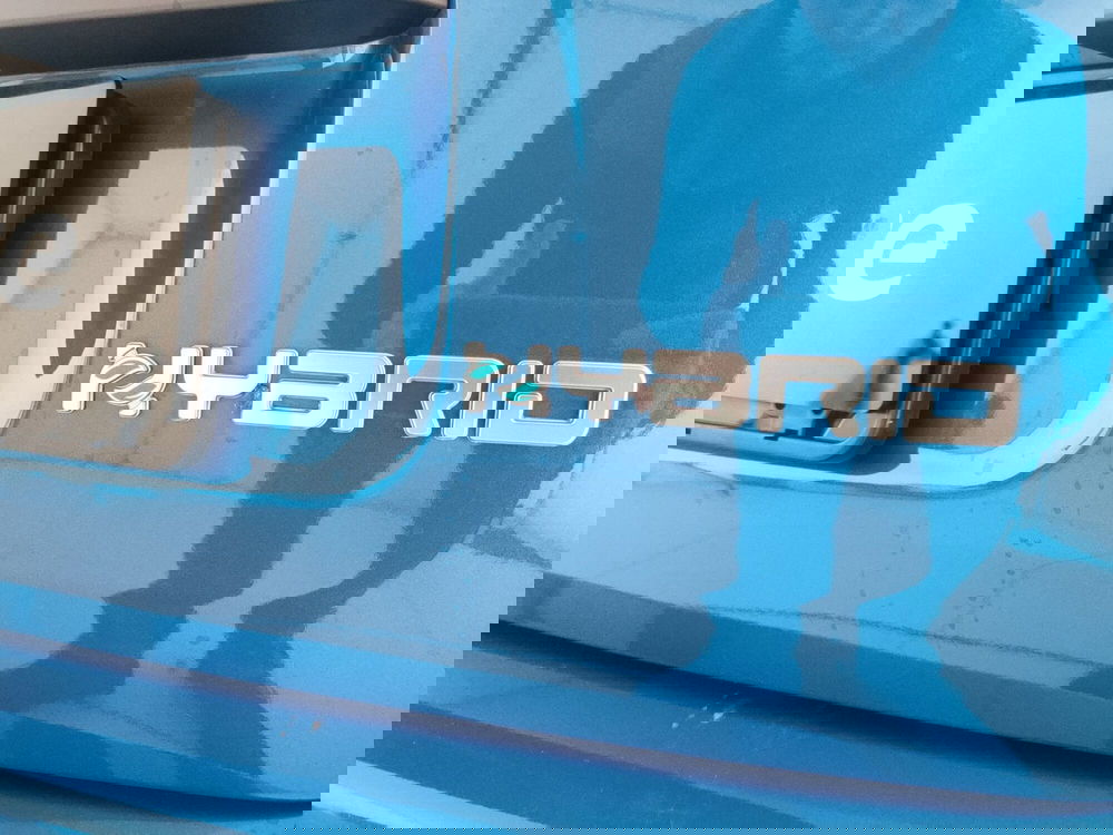 Fiat Panda Cross nuova a Caserta (10)