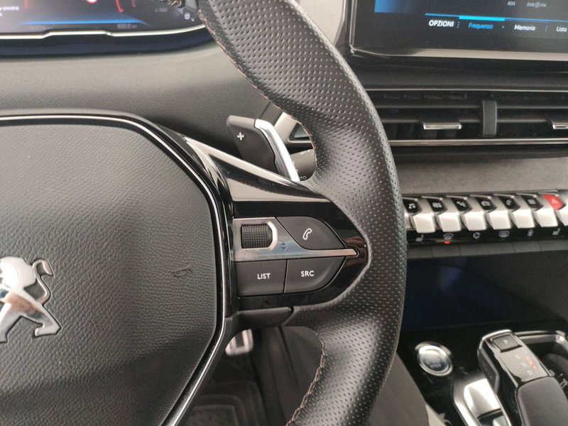 Peugeot 3008 usata a Caserta (18)