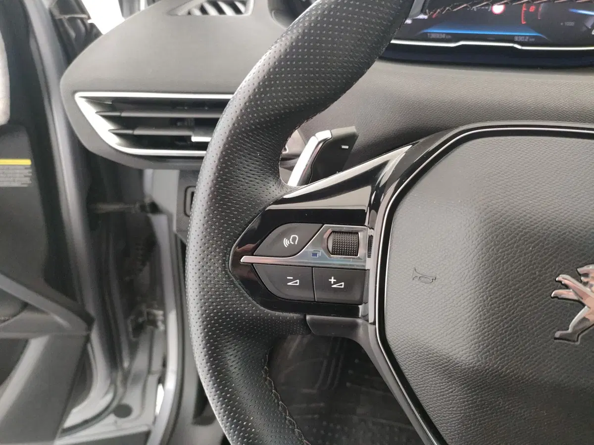Peugeot 3008 usata a Caserta (19)