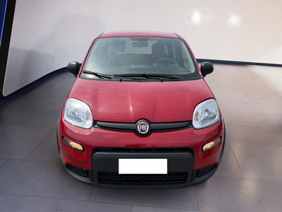 Fiat Panda 1.0 firefly hybrid s&amp;s 70cv 5p.ti del 2024 usata a Torino