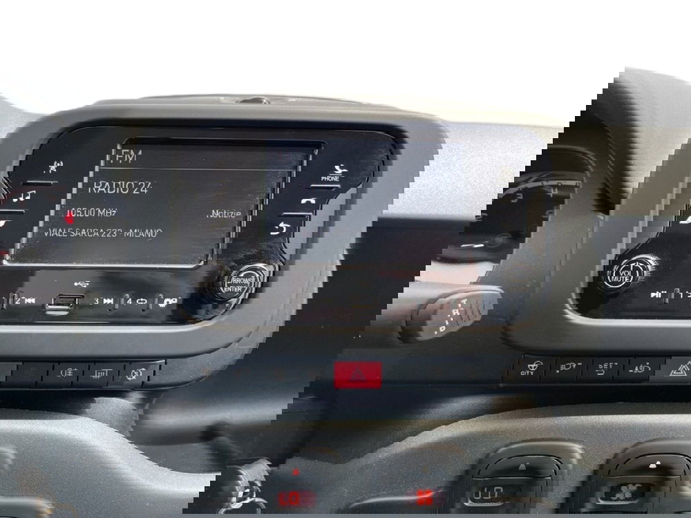 Fiat Panda usata a Torino (13)