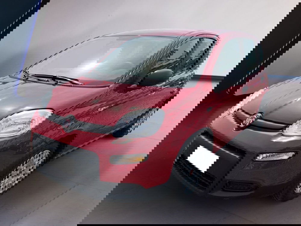 Fiat Panda usata a Torino (2)