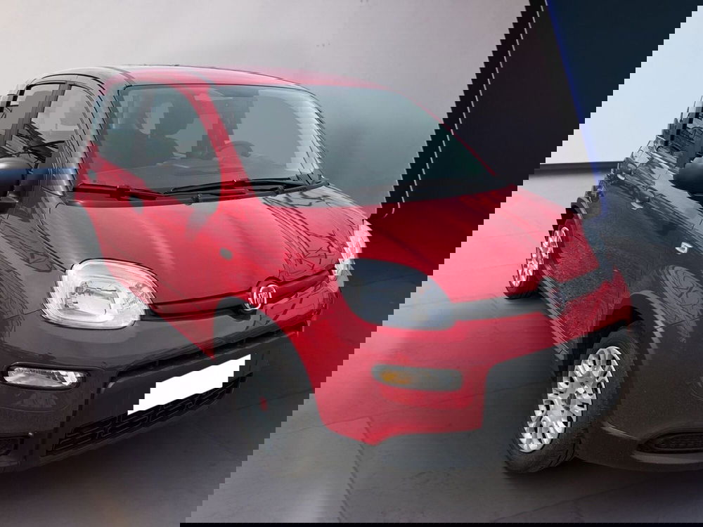 Fiat Panda usata a Torino (3)