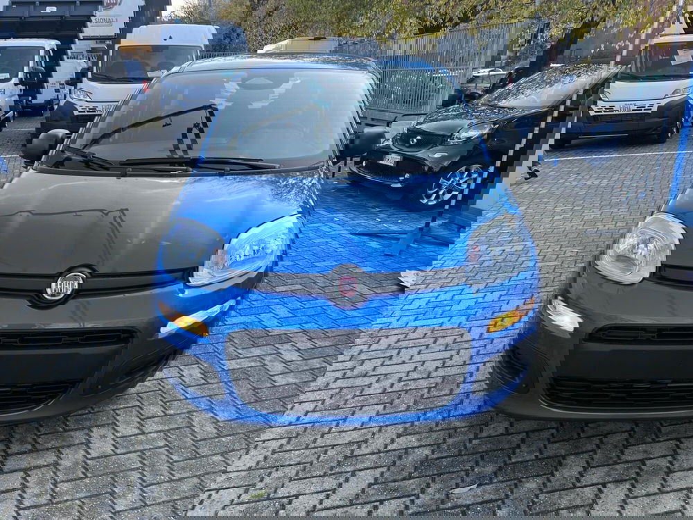 Fiat Panda Cross nuova a Milano (2)