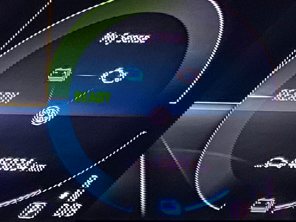 Renault Arkana usata a Monza e Brianza (8)