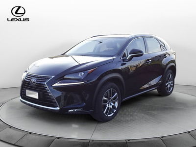 Lexus NX Hybrid 4WD Executive del 2019 usata a Montebelluna