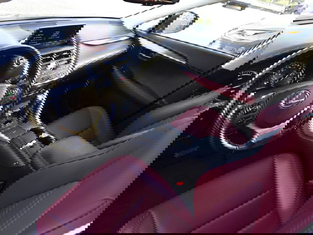 Lexus NX usata a Treviso (10)