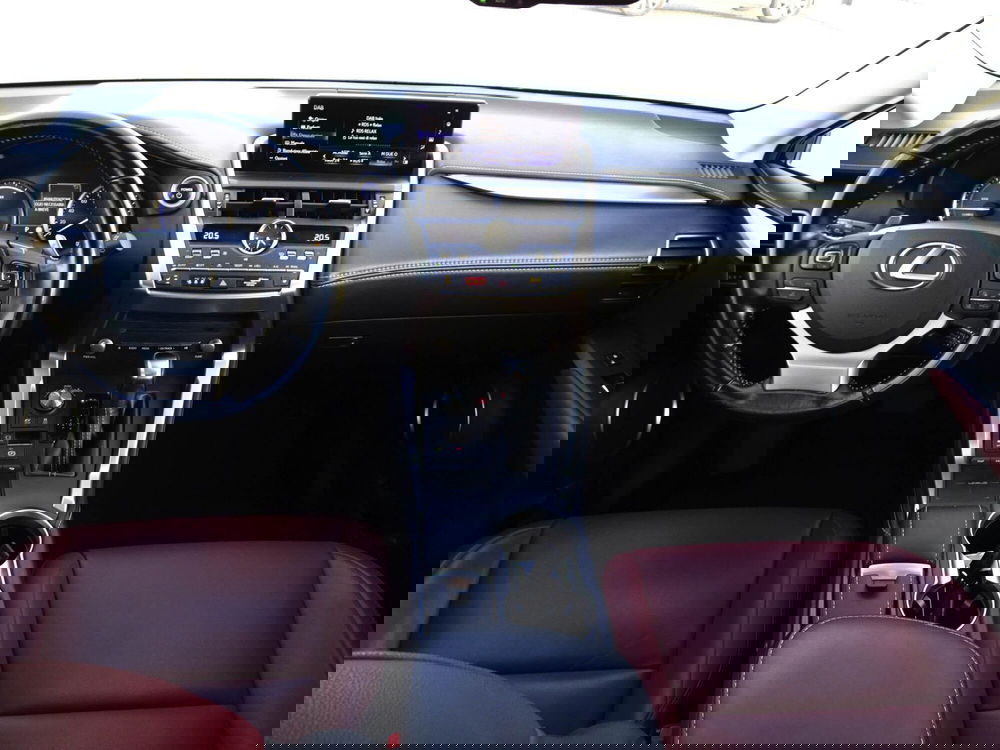 Lexus NX usata a Treviso (14)