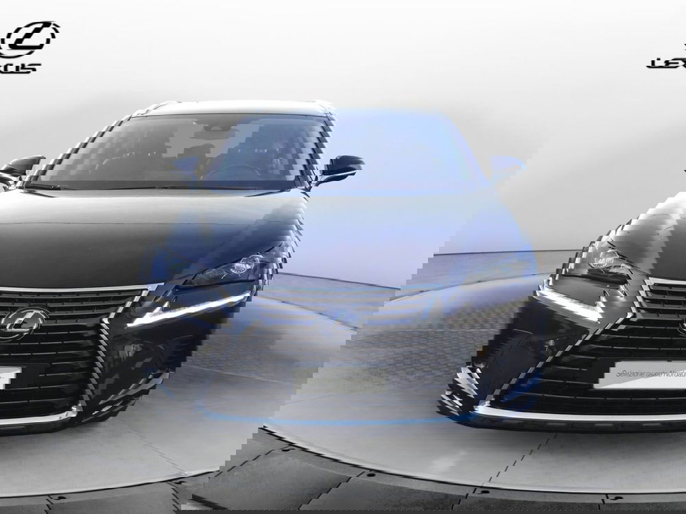 Lexus NX usata a Treviso (2)