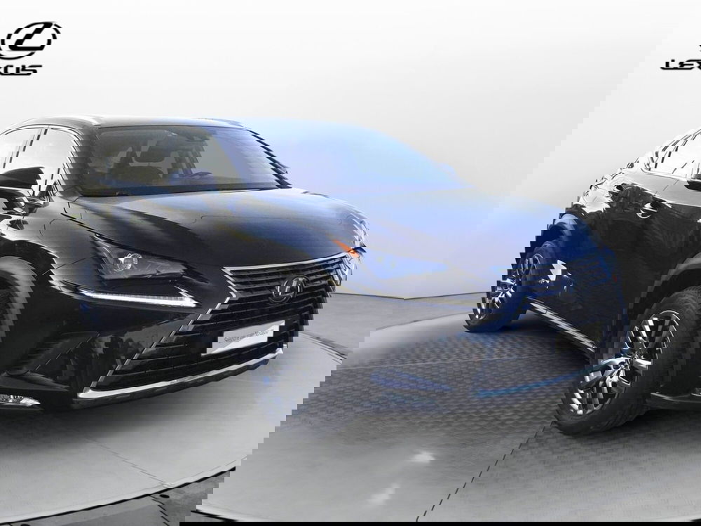 Lexus NX usata a Treviso (3)