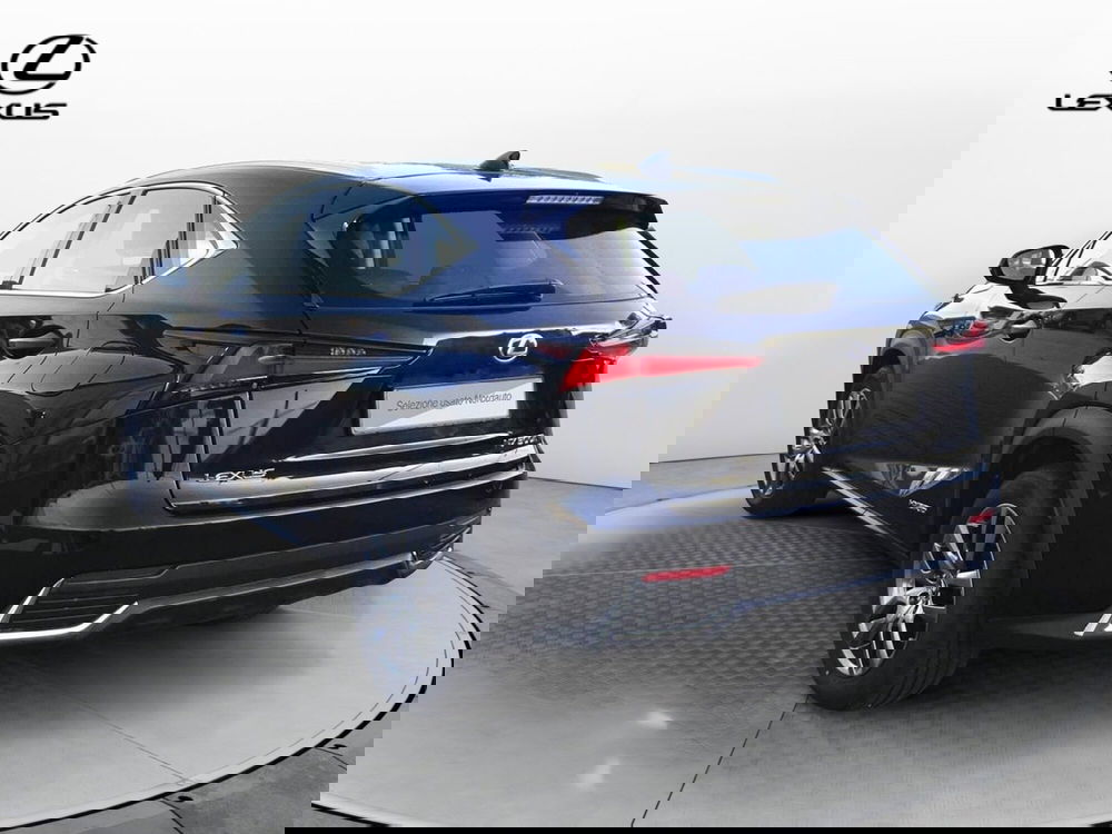 Lexus NX usata a Treviso (5)