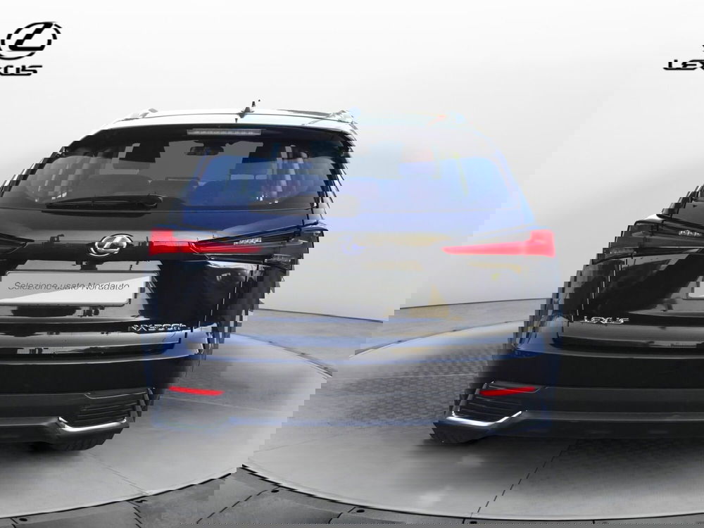 Lexus NX usata a Treviso (6)