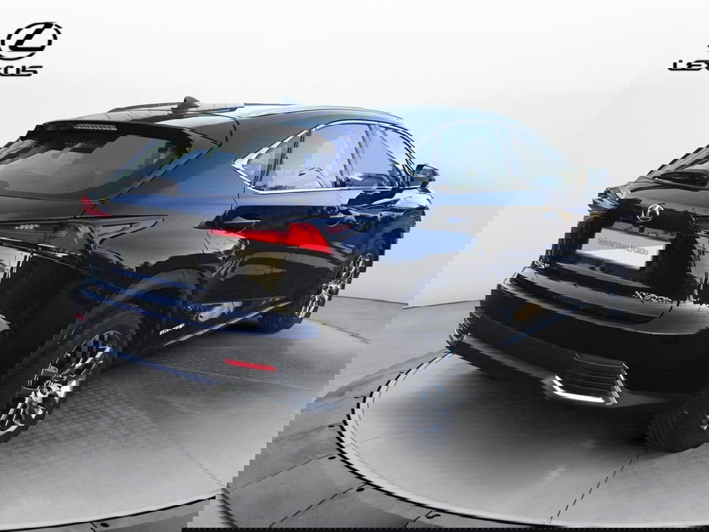 Lexus NX usata a Treviso (7)