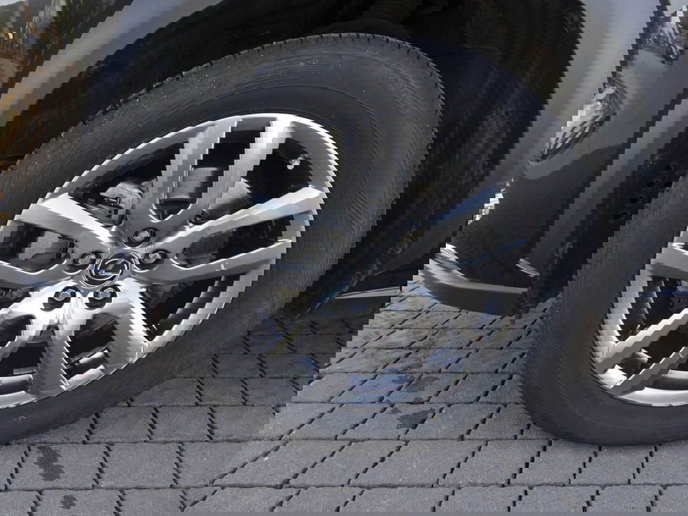 Lexus NX usata a Treviso (8)