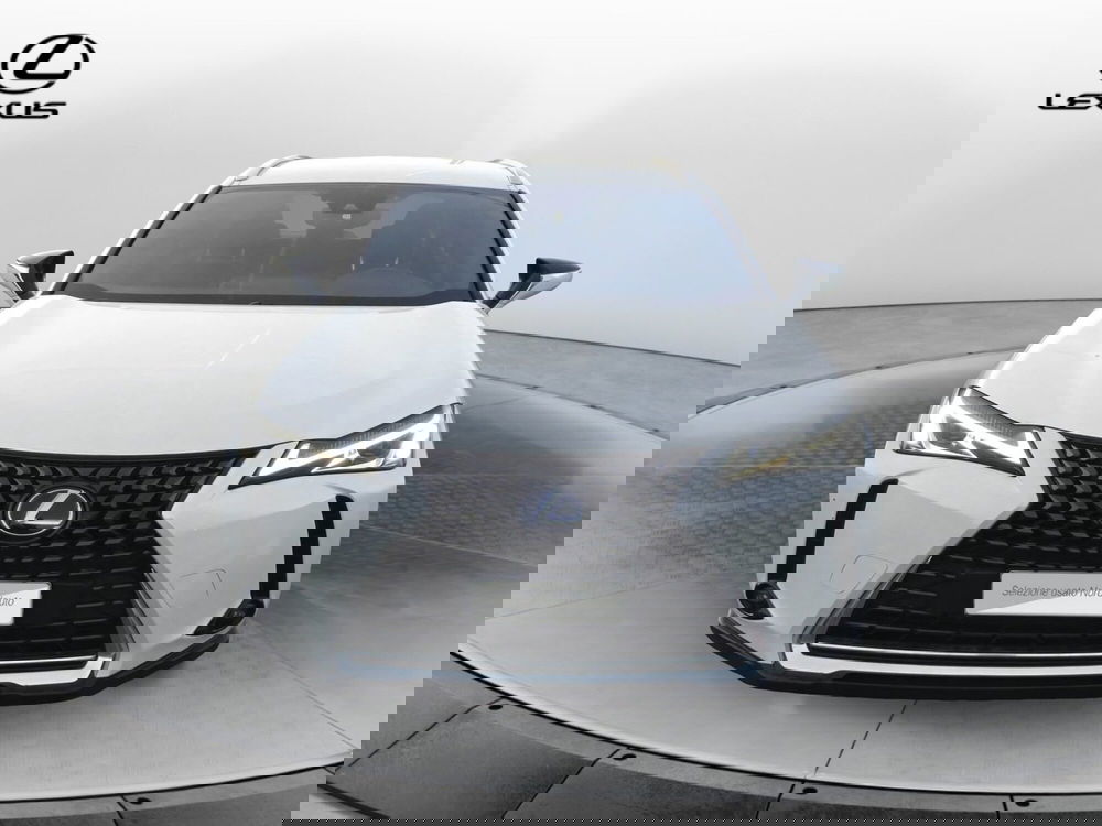 Lexus UX usata a Treviso (2)