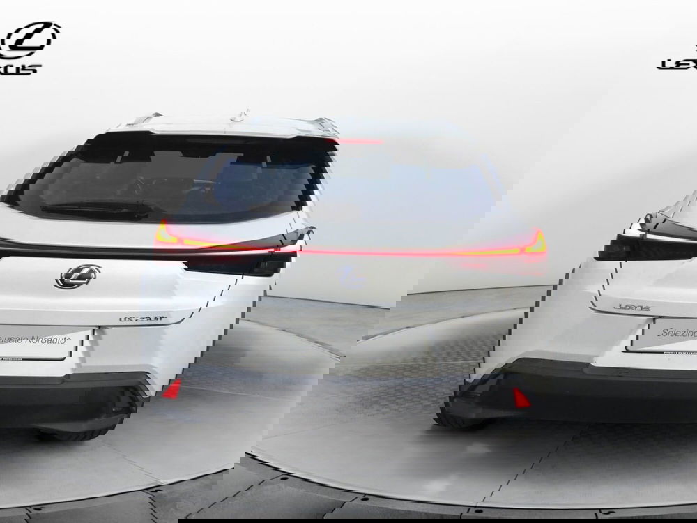 Lexus UX usata a Treviso (6)