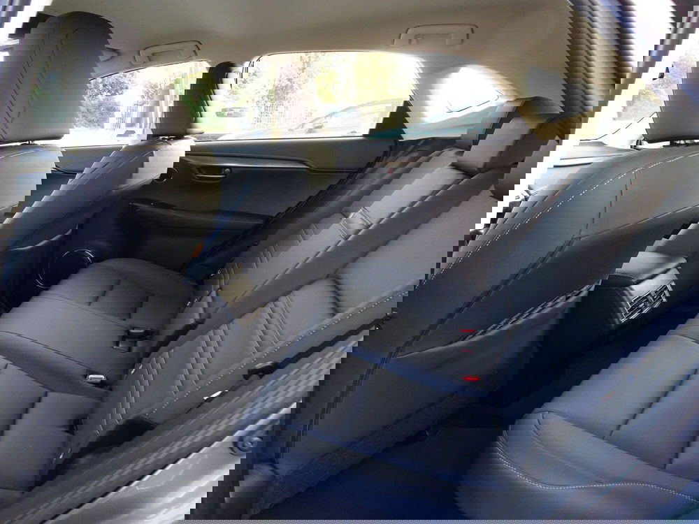 Lexus NX usata a Treviso (11)