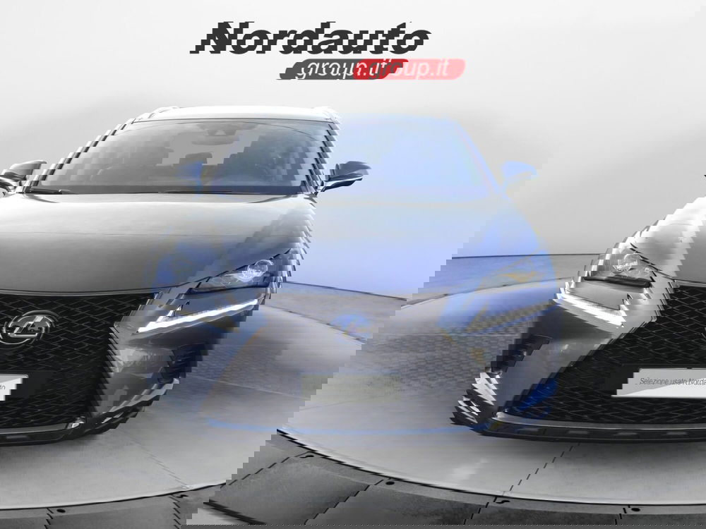 Lexus NX usata a Treviso (2)