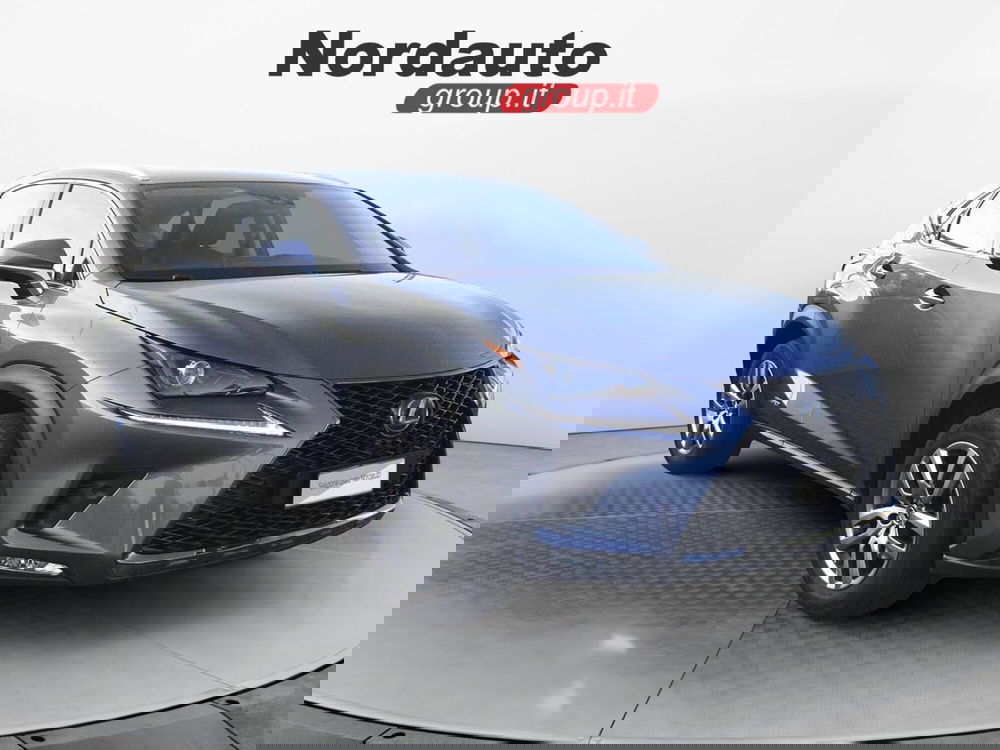 Lexus NX usata a Treviso (3)