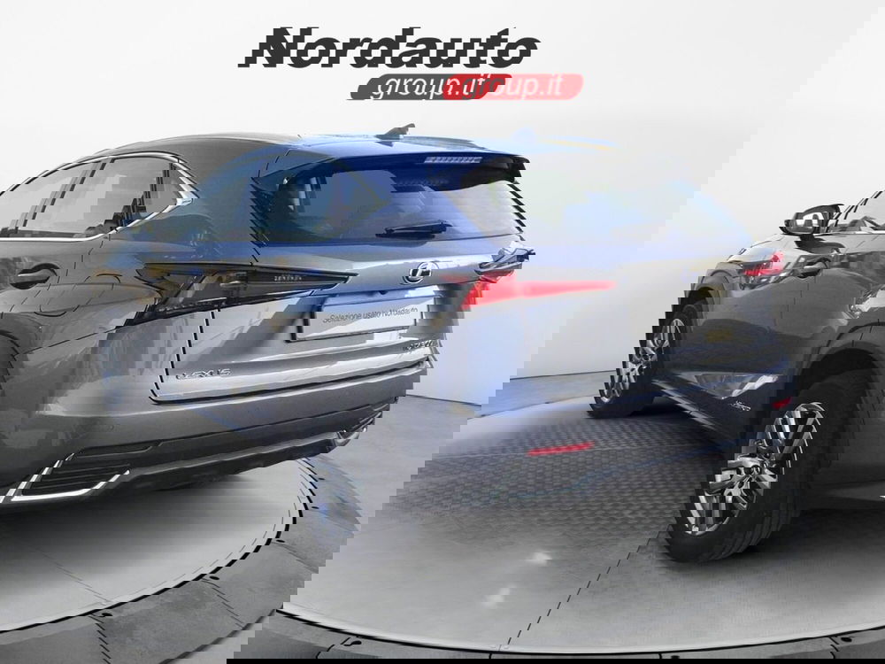 Lexus NX usata a Treviso (5)