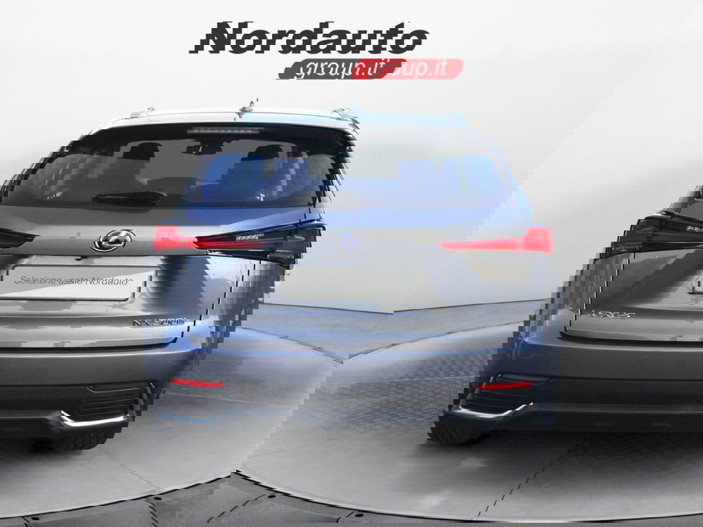 Lexus NX usata a Treviso (6)