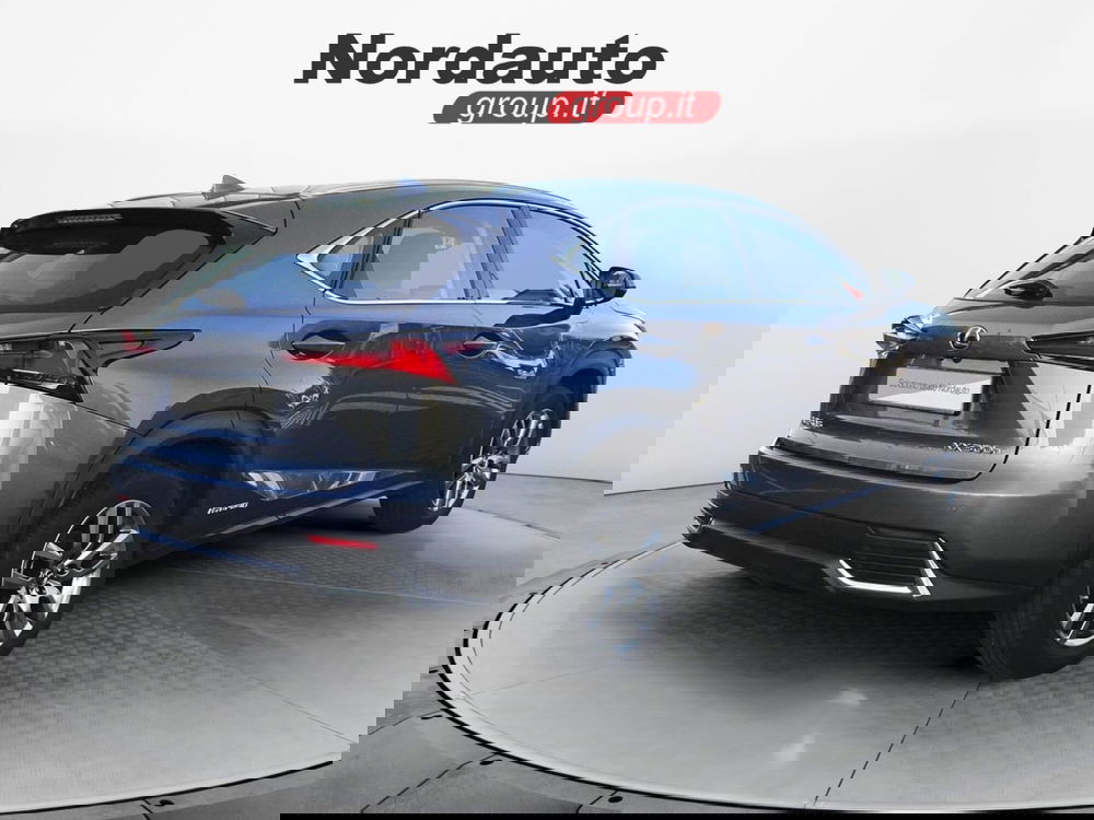 Lexus NX usata a Treviso (7)