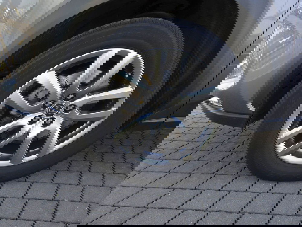 Lexus NX usata a Treviso (8)