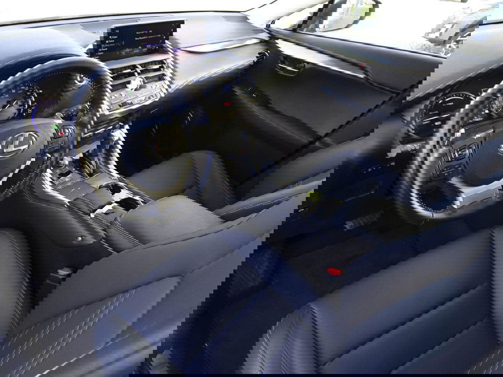 Lexus NX usata a Treviso (9)