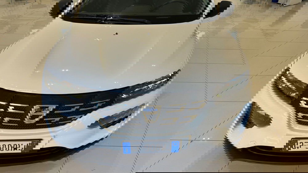 Dacia Spring usata a Viterbo (16)